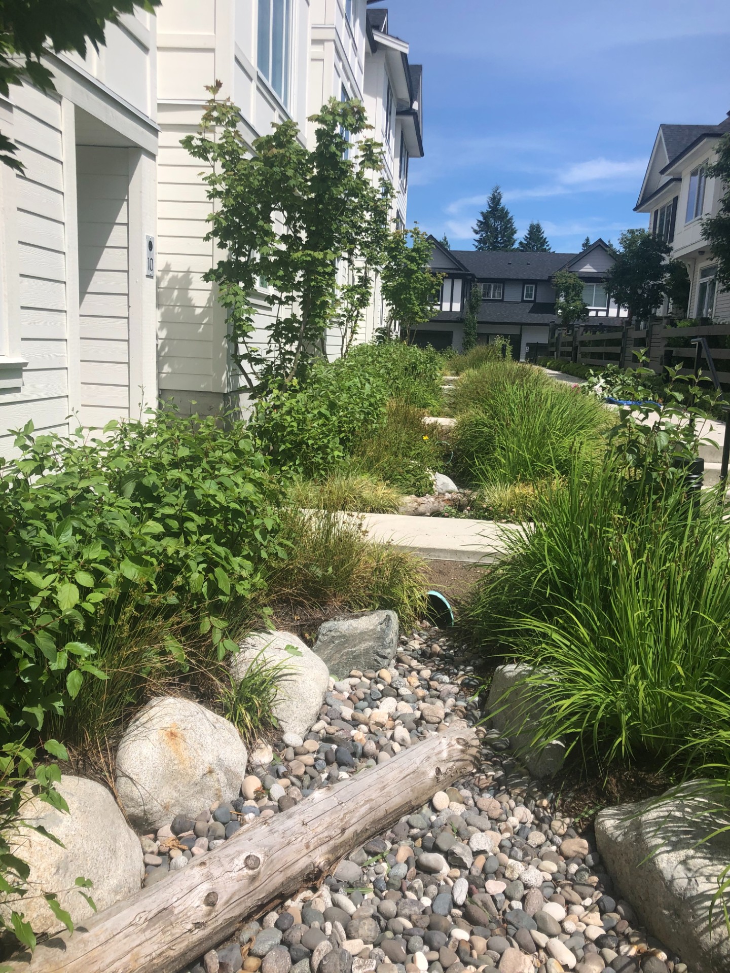 Landscape-Maintenance
